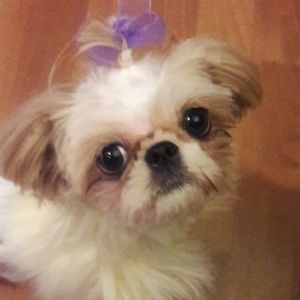 Meet your Posher, Jen